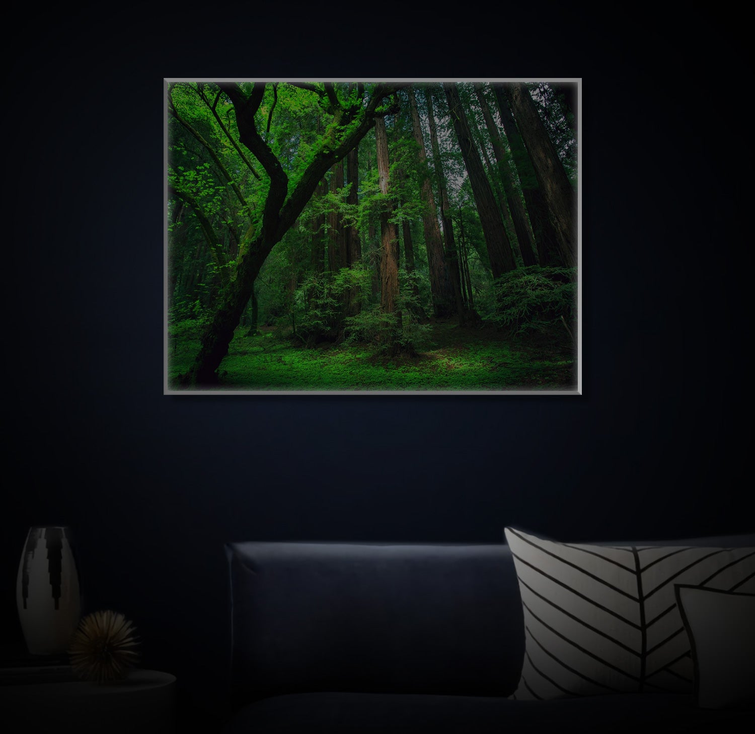 " Amazon Rainforest " LED Leuchtbild