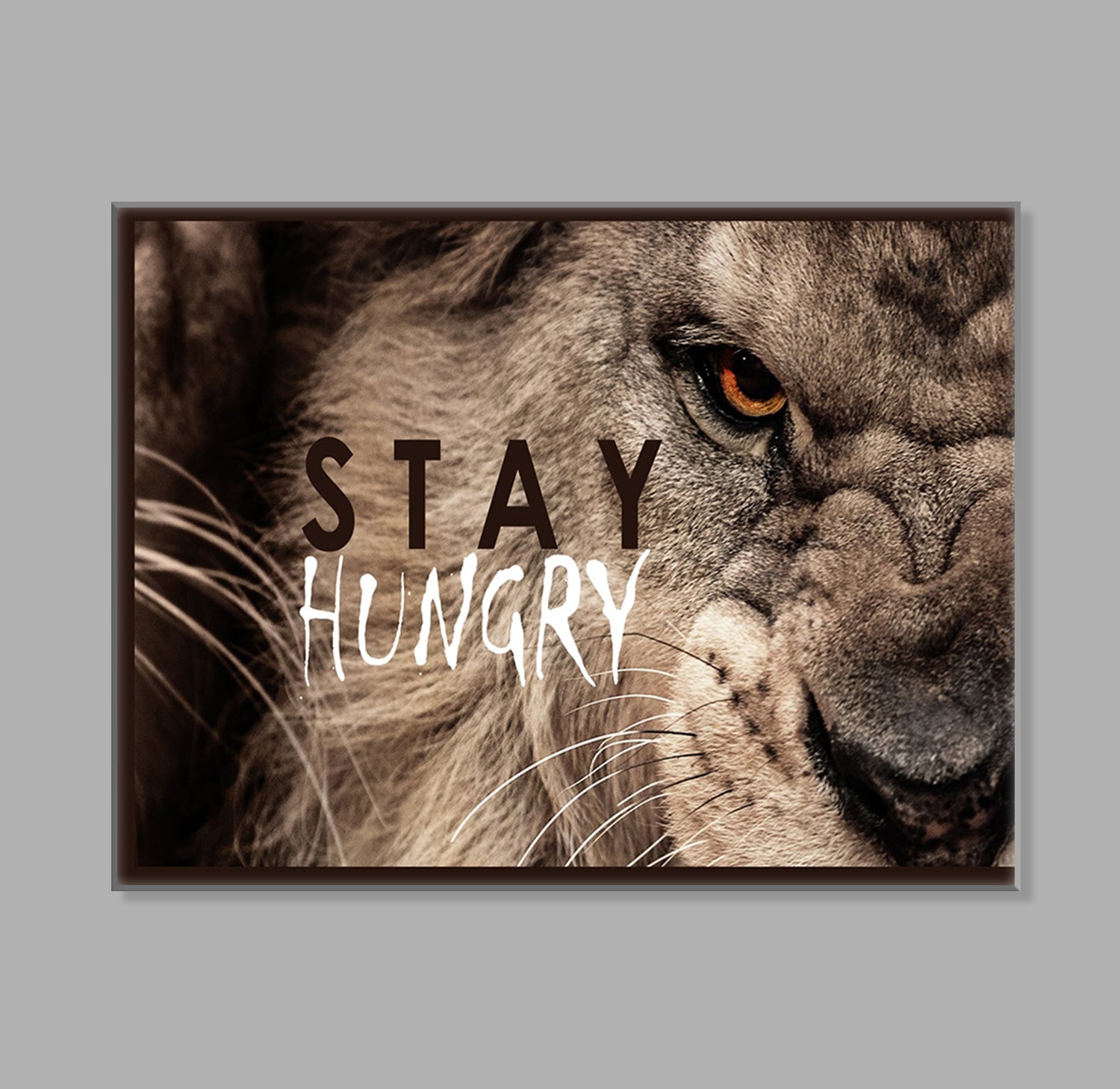 " Lion Stay Hungry" LED Leuchtschild